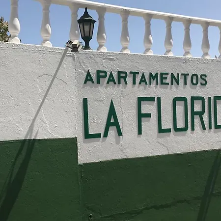 Greg's Paradise-la Florida Apartment *
